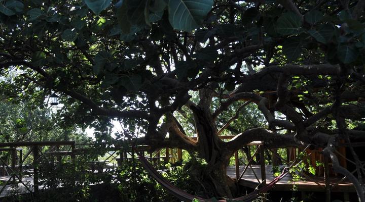 Mount Marula Game Lodge