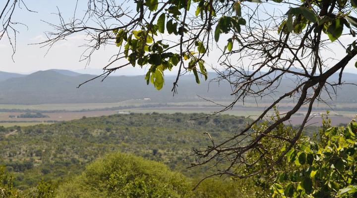 Mount Marula Game Lodge