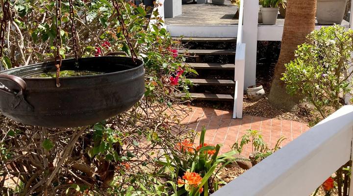 Mangold's Guesthouse