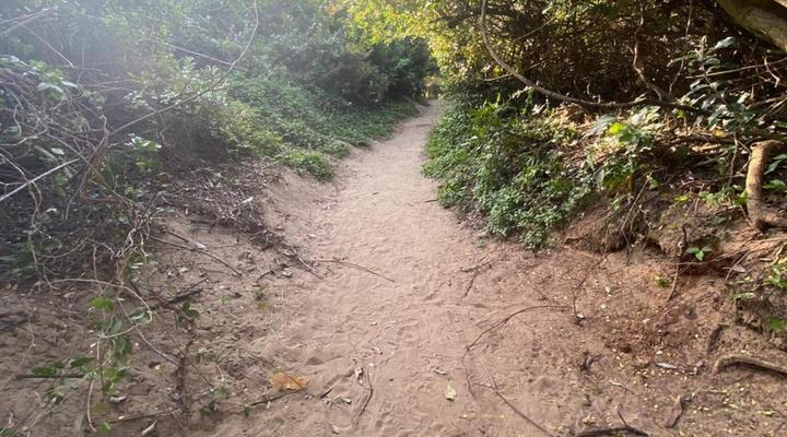 The Bourne Apartments