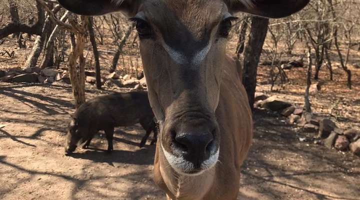 Okwamanje Self-catering Unit