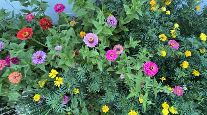 Blue Crane Guest House Bloemfontein