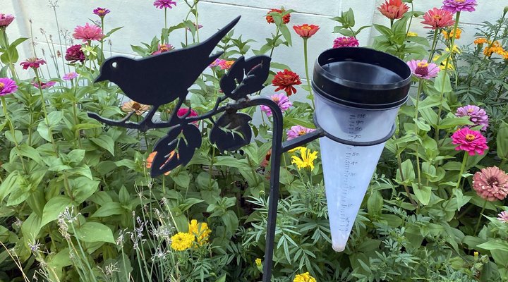 Blue Crane Guest House Bloemfontein