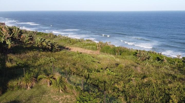 Dolphin Rest Guest House