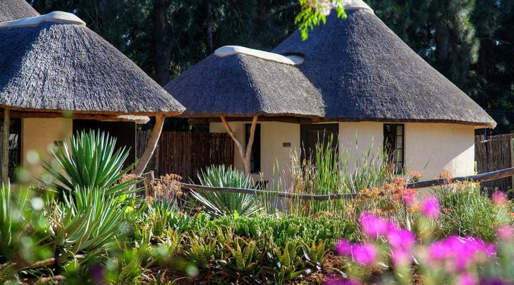 Addo African Home, Restaurant & Safari
