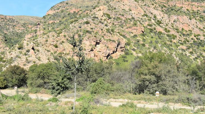 Baviaanskloof Guest Cottages