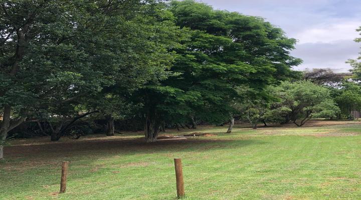 Duke's Place Nature Guesthouse