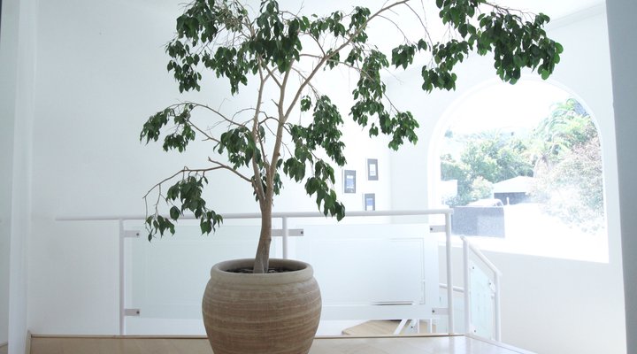 1 The Grange Luxury Apartments