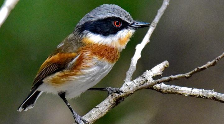 Kleinrivier Mountain Escapes