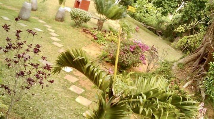 St Lucia @ The Bridge