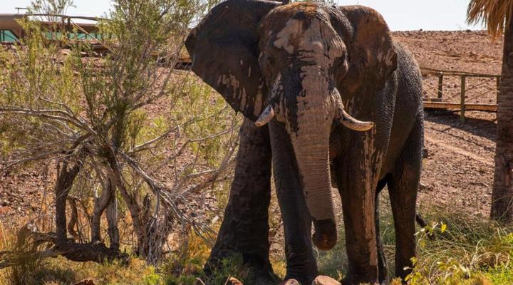 Palmwag Lodge Camping2Go