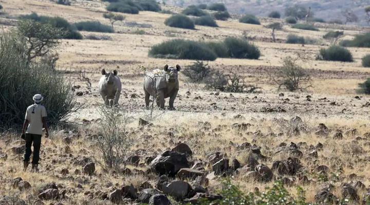 Palmwag Lodge Camping2Go