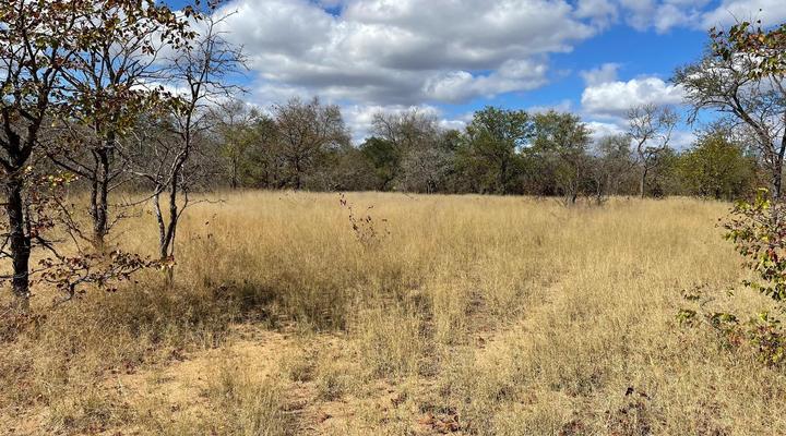 Morokologa Private Game Reserve