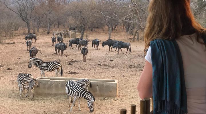 Morokologa Private Game Reserve