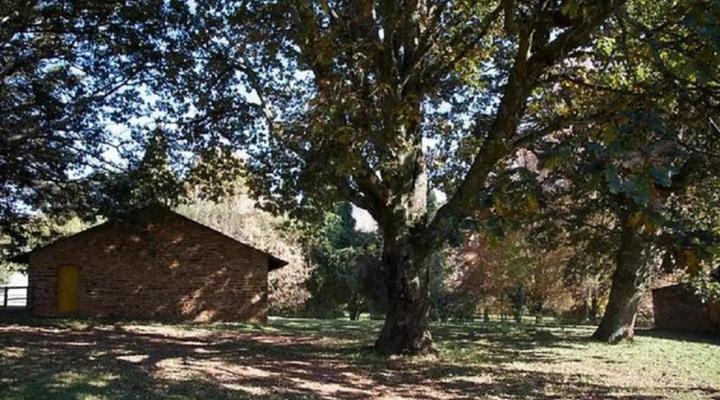 Katrinasrust Country Estate