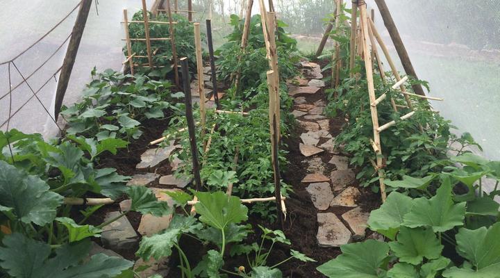 Tegwaan Country Getaway