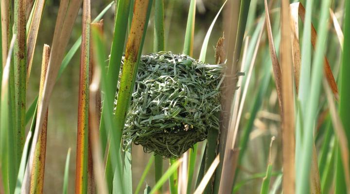 Tegwaan Country Getaway