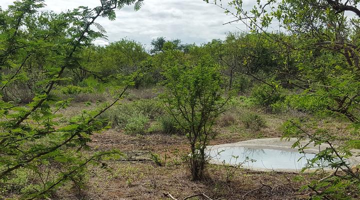 The Baobab Bush Lodge