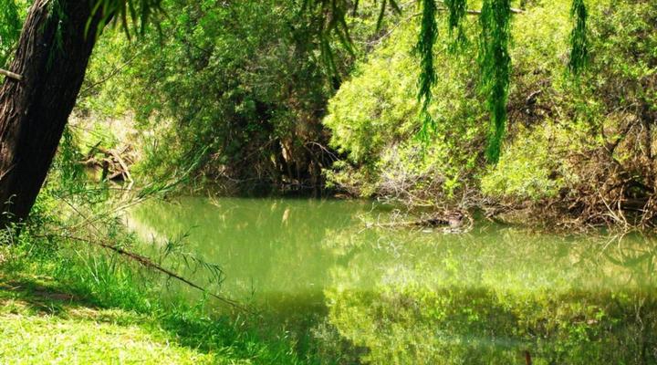 Riverstill Guest Farm