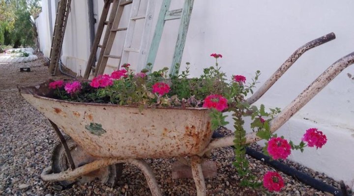 Brakdakkie Guest Cottages