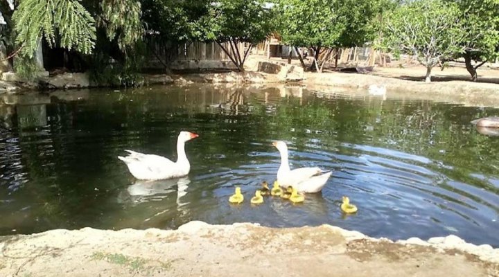 Brakdakkie Guest Cottages