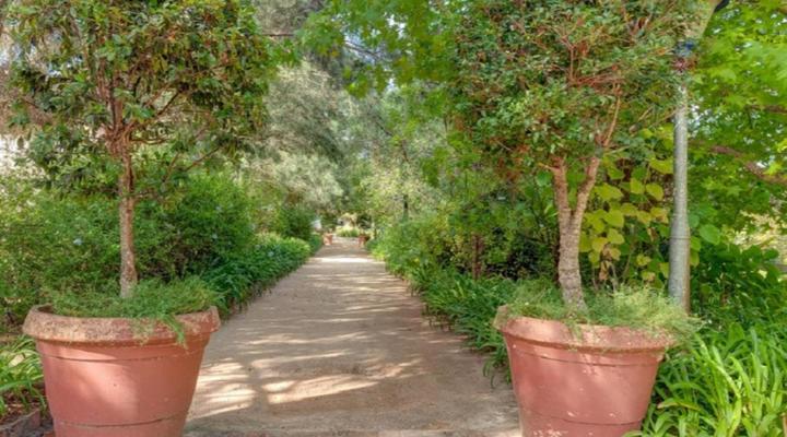 Blue Gum Country Estate