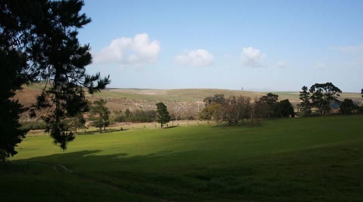 Blue Gum Country Estate