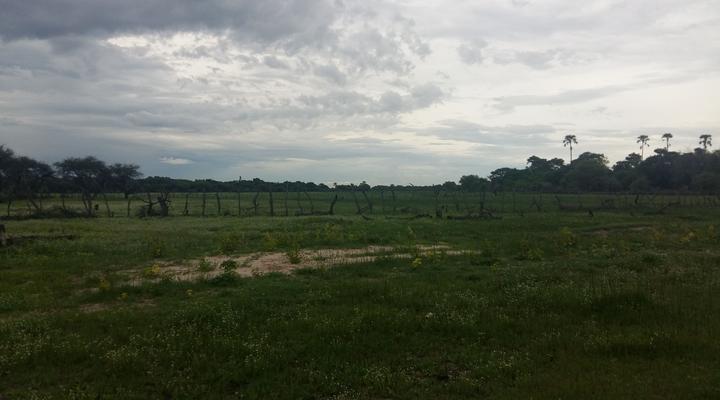 Mochaba Crossing Lodge