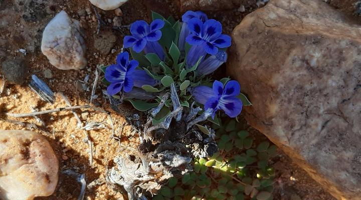 Prinspoort Klein Karoo Stay