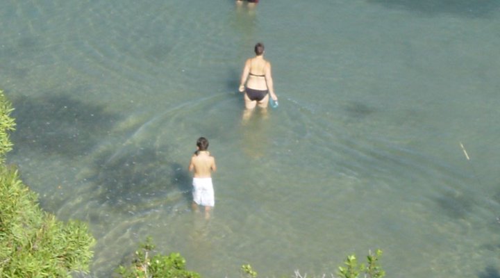 The Kingfisher Corner