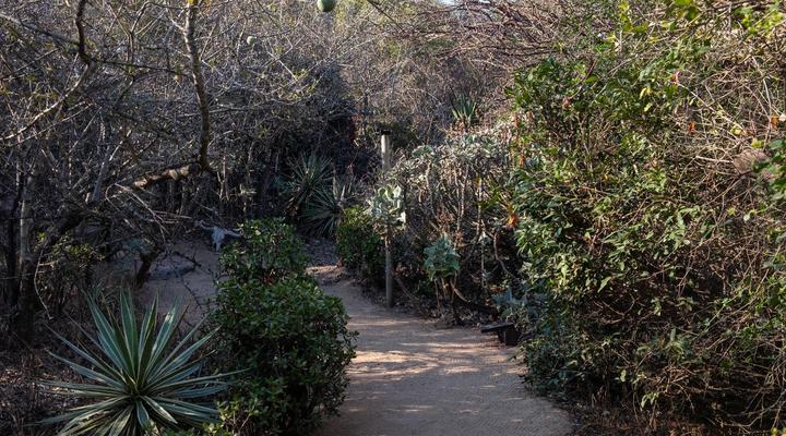 African Sky Bush Camp