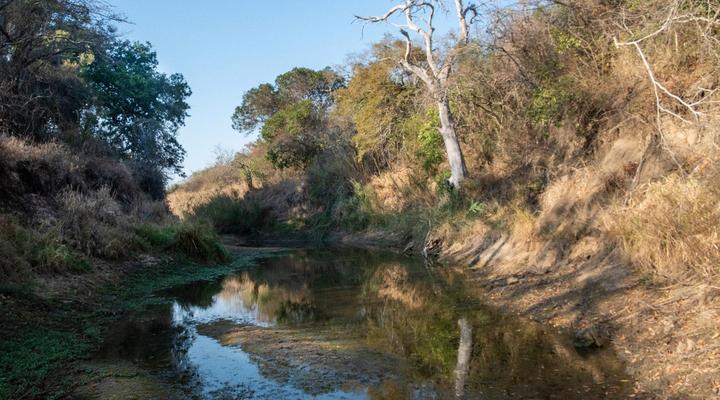 African Sky Bush Camp