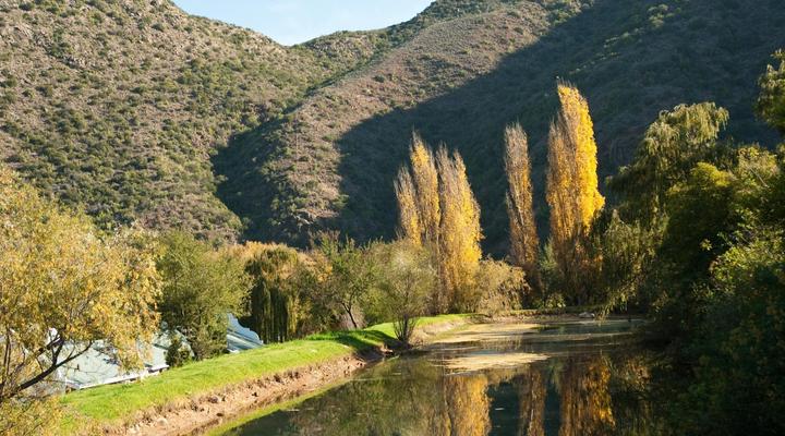 Old Mill Country Lodge, Working Ostrich Farm & Restaurant