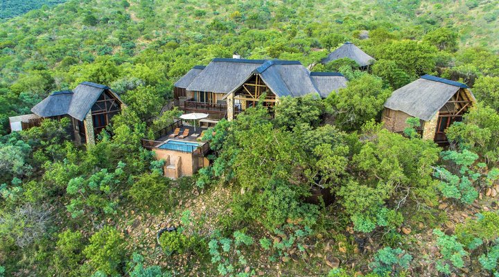 Warthog Lodge