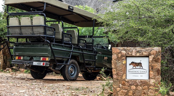 Warthog Lodge