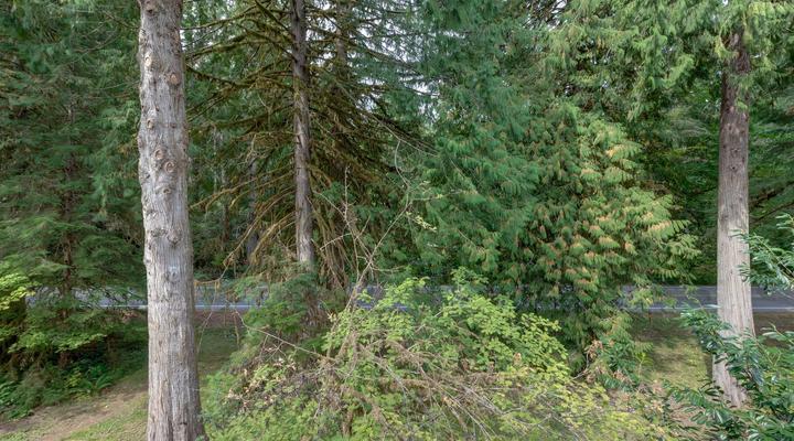 #18 Snowline Lodge Condo