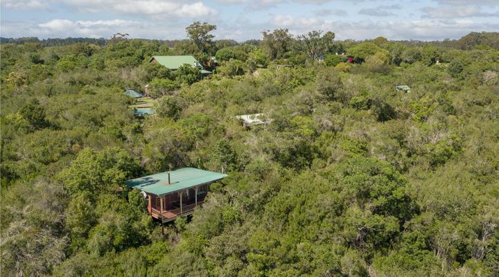 Moon Shine on Whiskey Creek