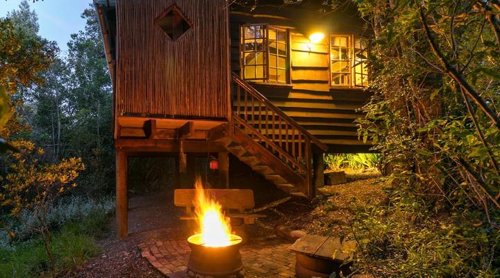 Moon Shine on Whiskey Creek