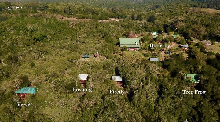 Moon Shine on Whiskey Creek