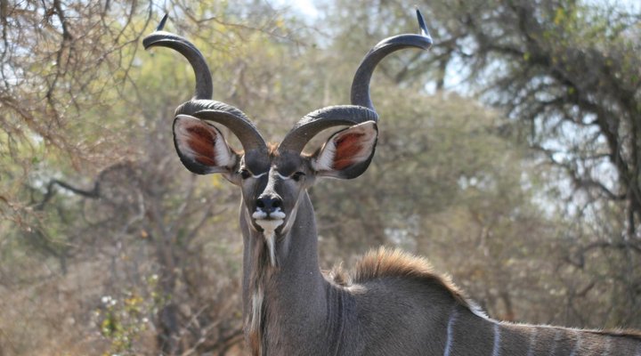La Barune Game Lodge