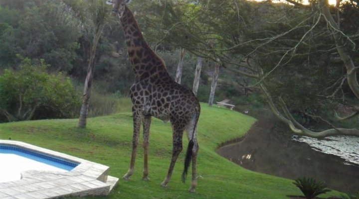 La Barune Game Lodge