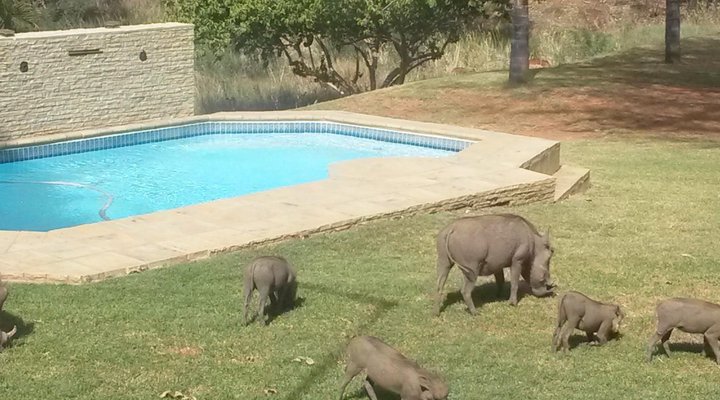 La Barune Game Lodge