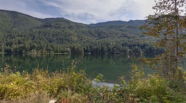 #47 Maple Falls Cabin