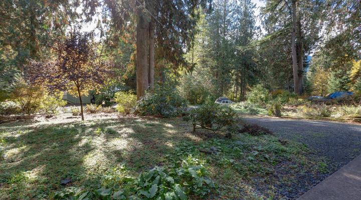 #61 Mt. Baker Rim Cabin