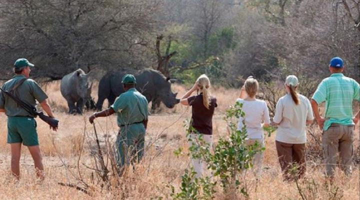 Inn Africa Safaris