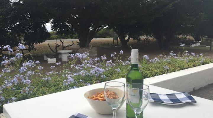 Big Cob Self-Catering Chalets 