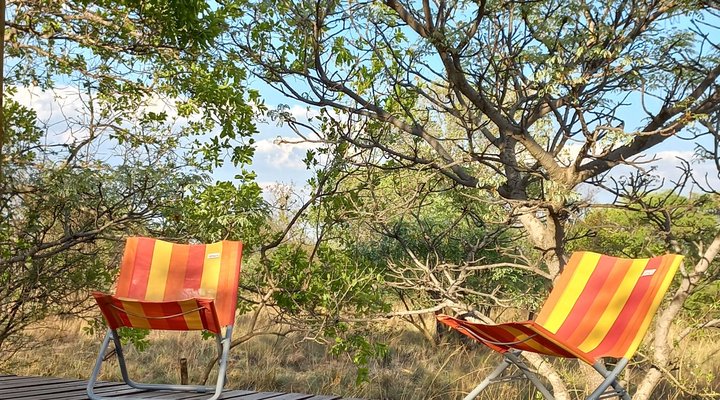 Five Pebbles on Piece of Africa