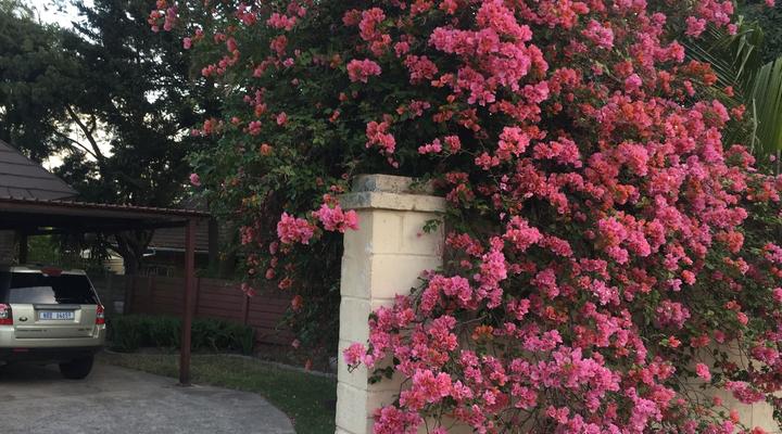 Serendipity 1 Guest House