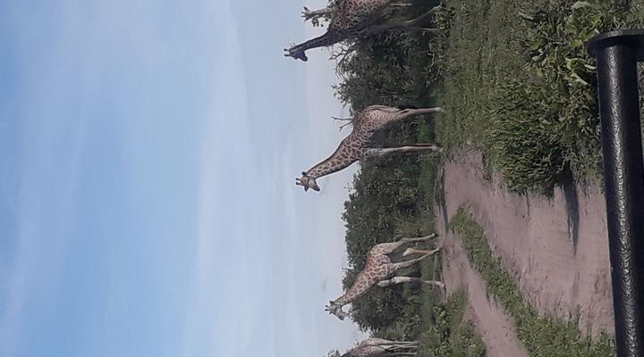 Mochaba Crossing Lodge