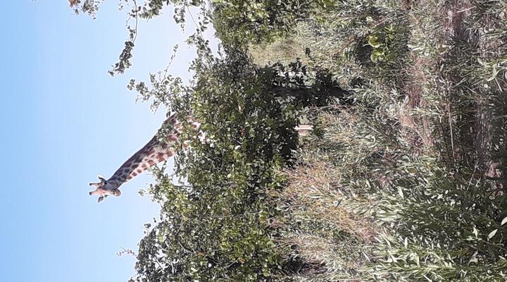 Mochaba Crossing Lodge